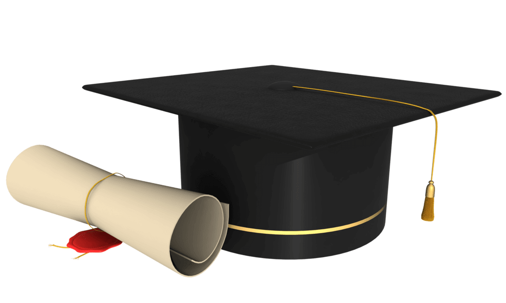 Illustration article