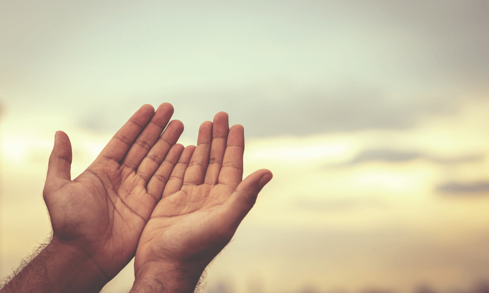 Illustration article