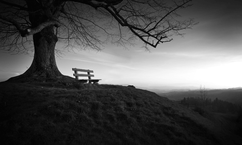 Illustration article